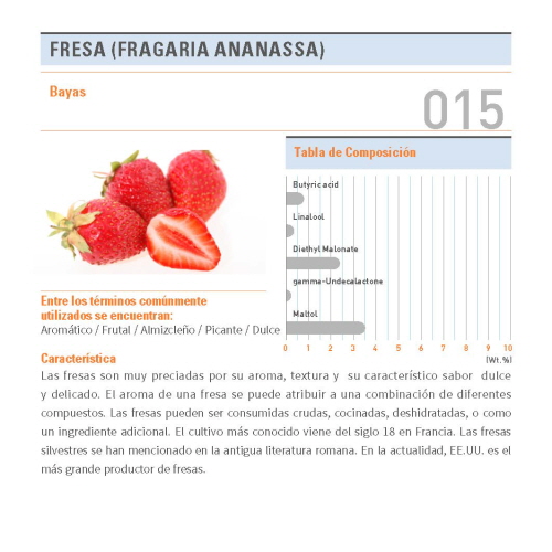 [Made in Korea] SCENTONE Coffee Flavor Map T100 Launched Spanish Version