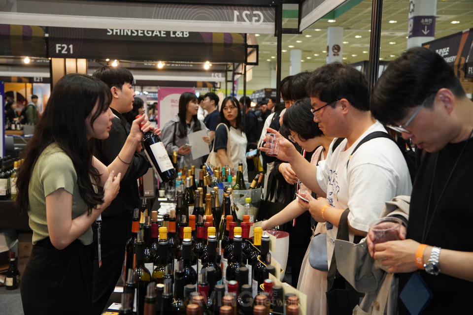 [DRINK SEOUL 2023] Allvintage Wine introduced awardwinning worldclass